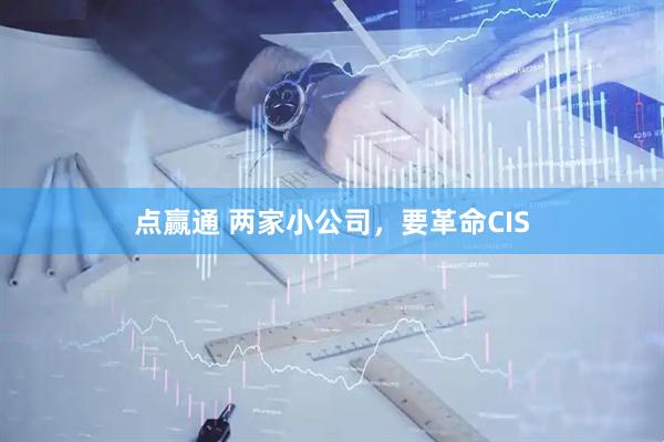 点赢通 两家小公司，要革命CIS