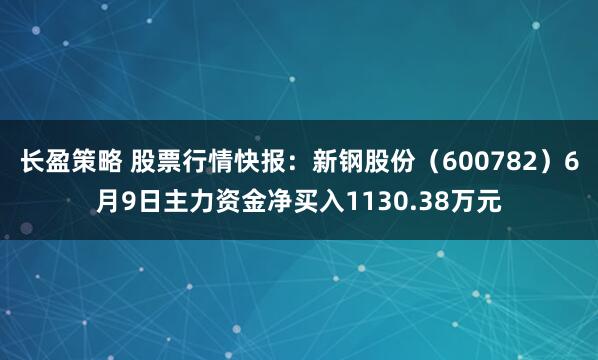 长盈策略 股票行情快报：新钢股份（600782）6月9日主力资金净买入1130.38万元