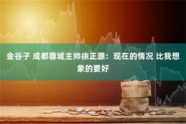 金谷子 成都蓉城主帅徐正源：现在的情况 比我想象的要好