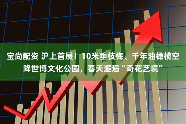 宝尚配资 沪上首展！10米垂枝梅、千年油橄榄空降世博文化公园，春天邂逅“奇花艺境”